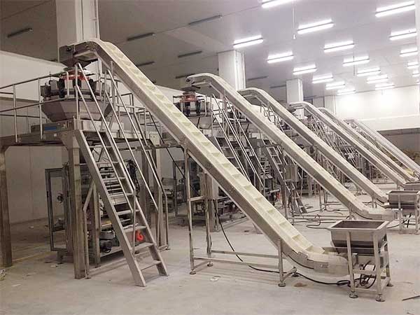 智能化全自动速冻食品深夜网站在线播放提升企业生产效率